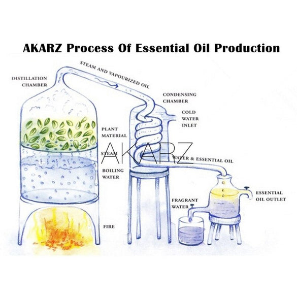 AKARZ Famous brand natural aromatherapy jasmine oil Increase skin elasticity relieve menstrual pain stretch marks scars