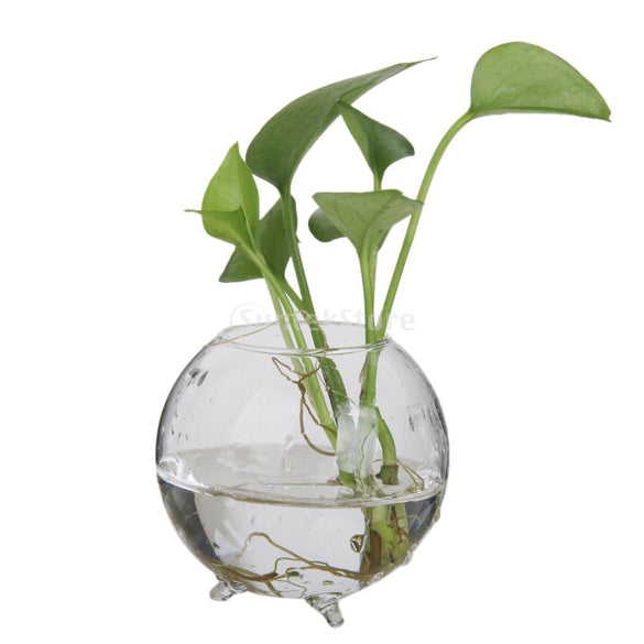 SUNTEK Glass Flower Hydroponic Vase Micro Landscape DIY Bottle Terrarium Container