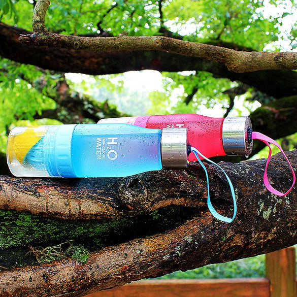 H2O 2019 Xmas Gift 700ml Water Bottle plastic Fruit infusion bottle Infuser Drink Outdoor Sports Juice lemon Portable Water