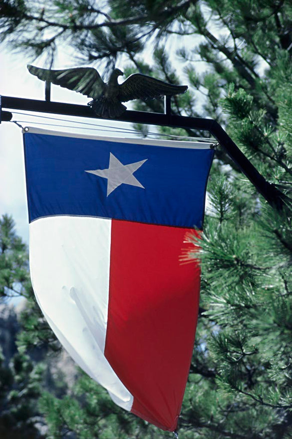 3x5 Ft Deluxe TEXAS Embroidered TX American Lone Stars USA state Flag parade/Festival/Home Decoration