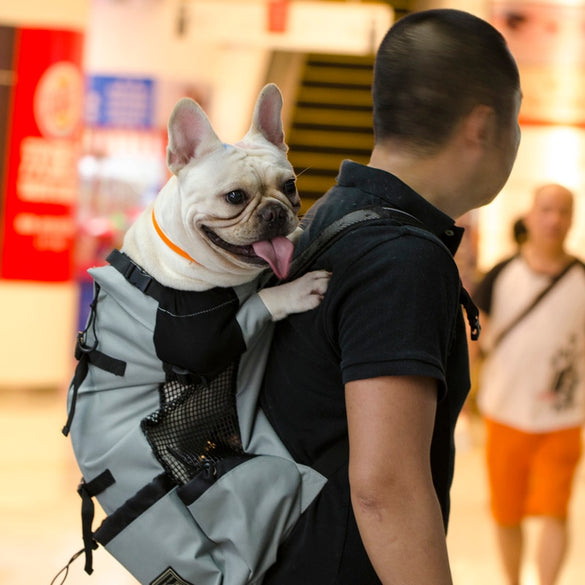 Adjustable Pet Dog Outdoor Travel Backpack For Hiking Cycling Reflective Carrier Bag For Dogs French Bulldog Pug Carrying Bags