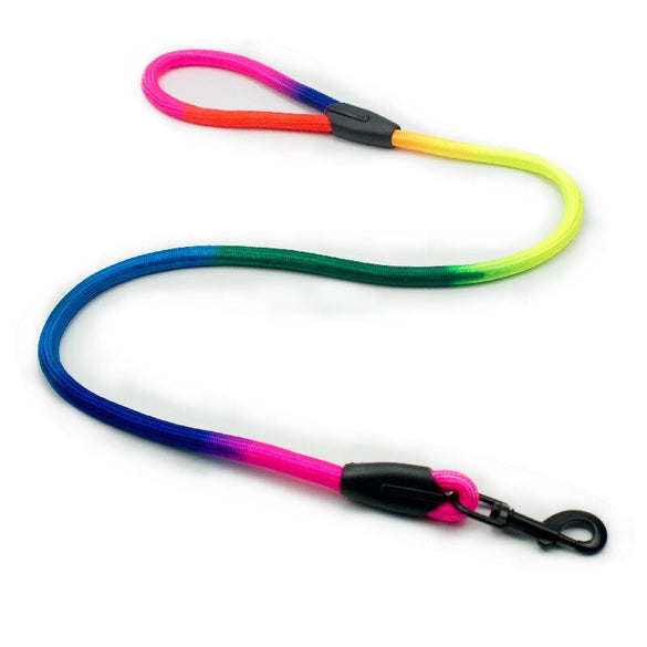 Rainbow Color Round Dog Leash Double Strand Nylon Pet Leashes Black hook Traction Rope for Harnesss collar dog Walking Leads