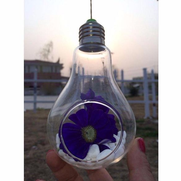 New Glass Bulb Lamp Shape Flower Water Plant Hanging Vase Hydroponic Container Terrarium Glass Home Office Wedding Decoration