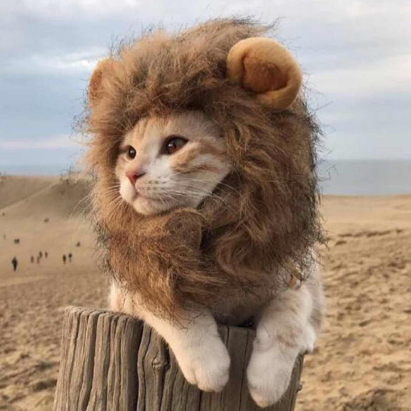 ins hot Cute Funny Cute Pet Costume Cosplay Lion Mane Wig Cap Hat for Cat Halloween Xmas Clothes Fancy Dress with Ears Autumn Wi