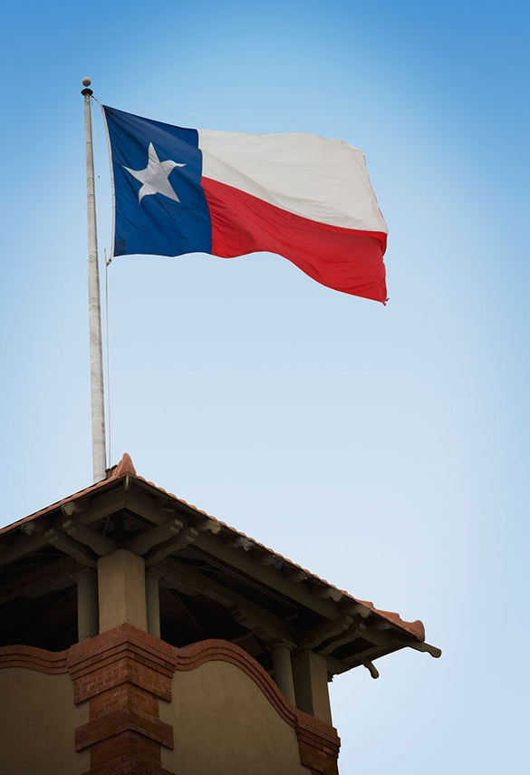 3x5 Ft Deluxe TEXAS Embroidered TX American Lone Stars USA state Flag parade/Festival/Home Decoration