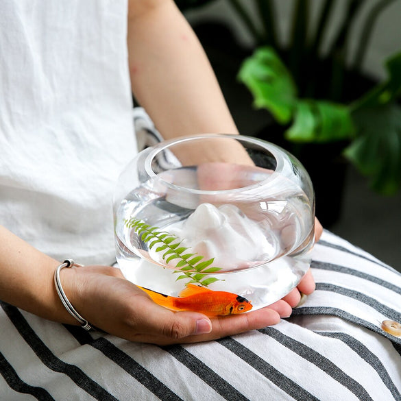 Creative Transparent Glass Fish Bowl Snow Mountain Fish Tanks Desktop Micro Landscape Fish Jar Aquariums Pet Supplies Home Decor