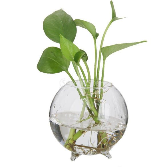 SUNTEK Glass Flower Hydroponic Vase Micro Landscape DIY Bottle Terrarium Container