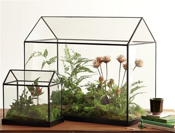 Cool Mini Handmade Tabletop Glass Green Houses,Small Arched Greenhouse Wardian Case Miniature Landscape Garden Terrarium