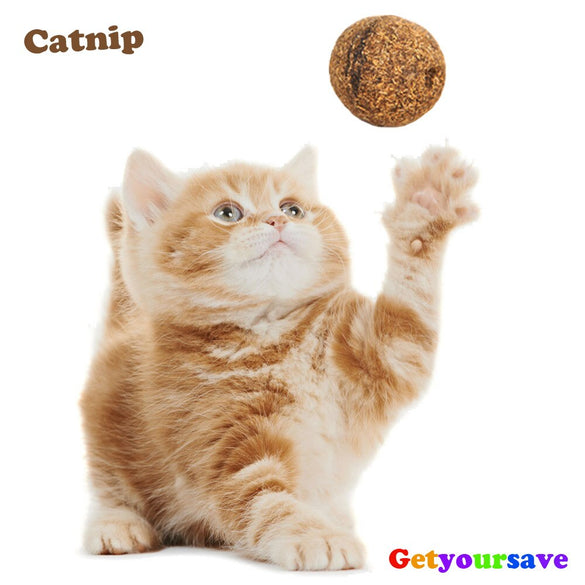 Pet Cat Natural Catnip Treat Ball Favor Home Chasing Toys Healthy Safe Edible Treating