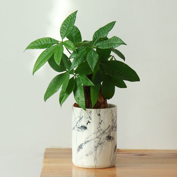 Home decor flower pots ceramic vases marble texture decorative flower vases flowerpot planters