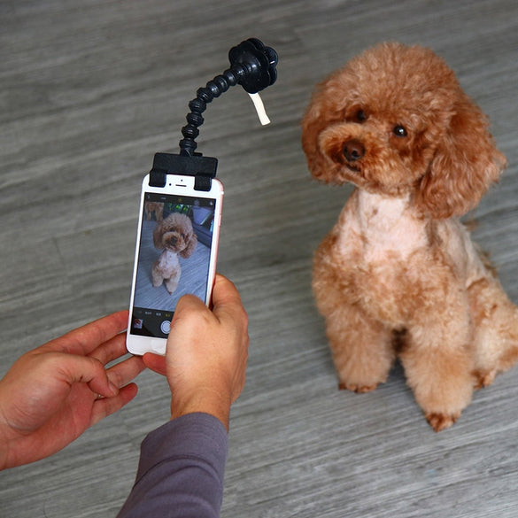 Pet Selfie Stick for Dogs Cat photography tools Pet Interaction Toys Concentrate Training Supplies Dog Accessories Drop Shipping