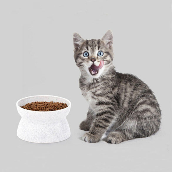 Creative Antiskid Cat Bowls With Raised Stand Pet Food And Water Bowl Perfect For Cats And Small Dogs Supplies