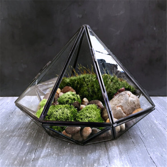 Minimalism Diamond shape Hanging Glass Terrarium,Local Tyrants Black Geometric Glass Solder Terrarium Housing For Plants Moss
