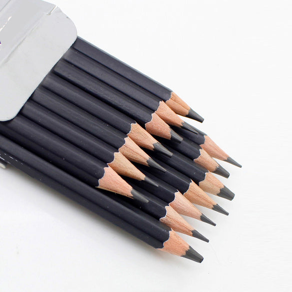 Professional Pencil Sketch Set