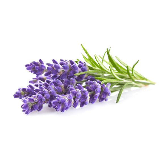 AKARZ Famous brand natural aromatherapy lavender essential oil acne Scar repair Help sleep skin care slimming lavender oil